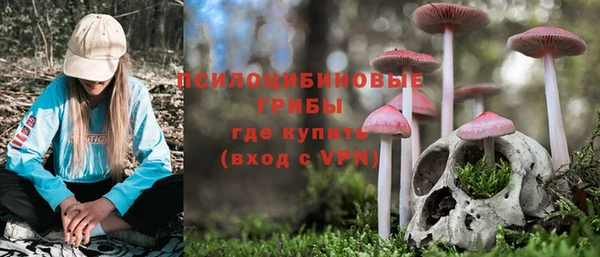 прущий лед Алексин