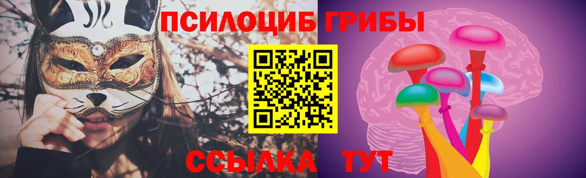 Псилоцибиновые грибы мицелий Томск